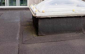 disadvantages of Roche Grange flat roofs