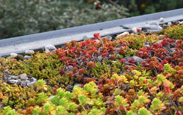 the cost of Roche Grange green roof installation