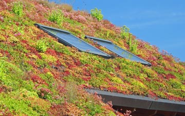Roche Grange living roof systems
